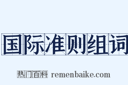 国际准则组词是什么意思的图片